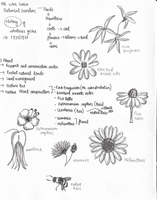 Mt. Cuba Center process exploration sheet one.
