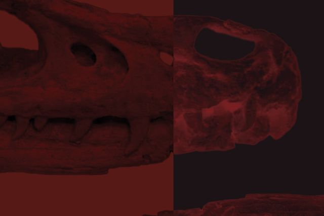 The Wagner branding process image two.