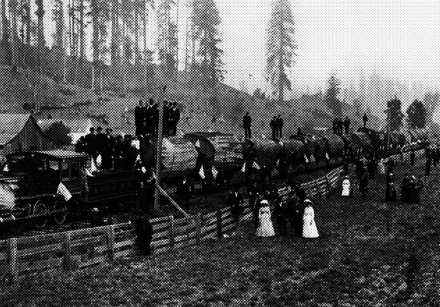 Book cover process image four.