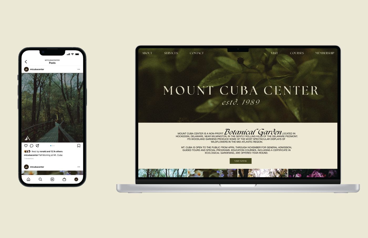 Mt. Cuba Center social media templates using the identity system.